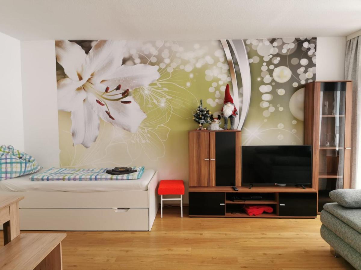 Apartment Fewo Irdning Pichlarn Aigen im Ennstal Εξωτερικό φωτογραφία