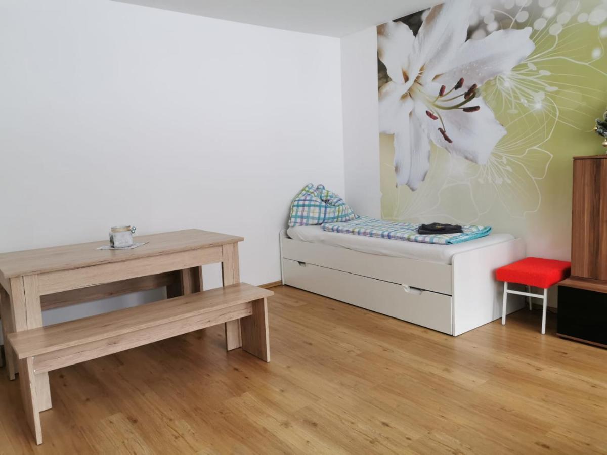 Apartment Fewo Irdning Pichlarn Aigen im Ennstal Εξωτερικό φωτογραφία