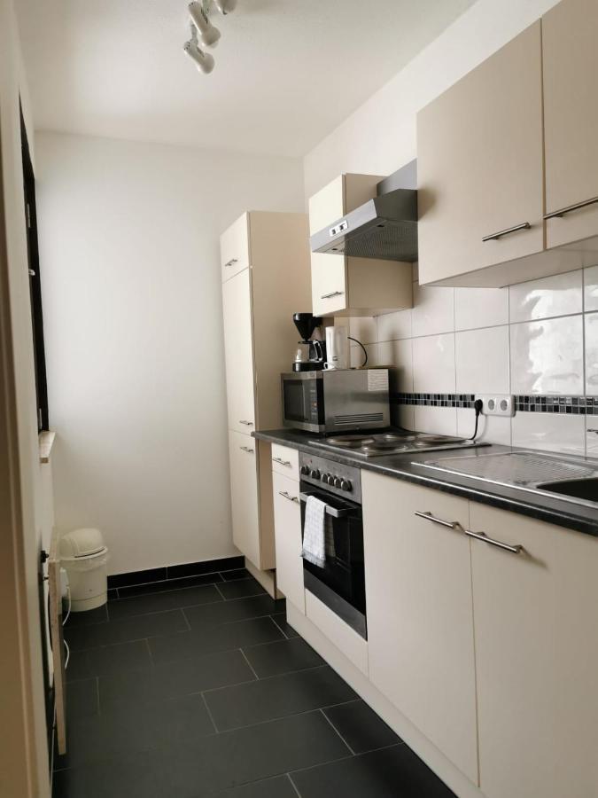 Apartment Fewo Irdning Pichlarn Aigen im Ennstal Εξωτερικό φωτογραφία