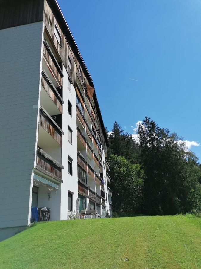 Apartment Fewo Irdning Pichlarn Aigen im Ennstal Εξωτερικό φωτογραφία