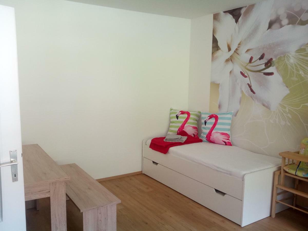 Apartment Fewo Irdning Pichlarn Aigen im Ennstal Εξωτερικό φωτογραφία