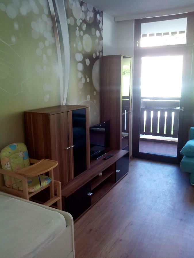 Apartment Fewo Irdning Pichlarn Aigen im Ennstal Εξωτερικό φωτογραφία